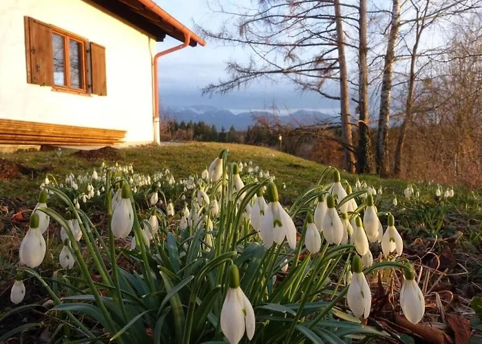 Tatil Evi Jagdhaus Nantesbuch Comfortable